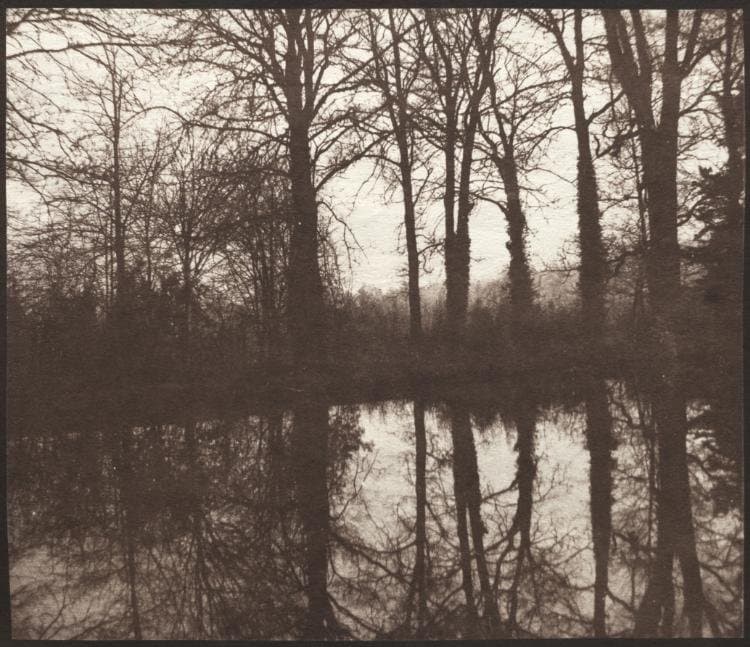 Winter Trees Reflected in a Pond (1841–42)