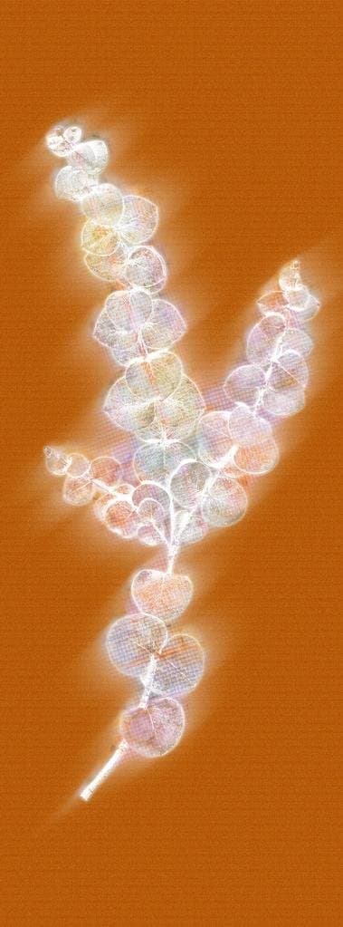 [object Object] ([object Object])