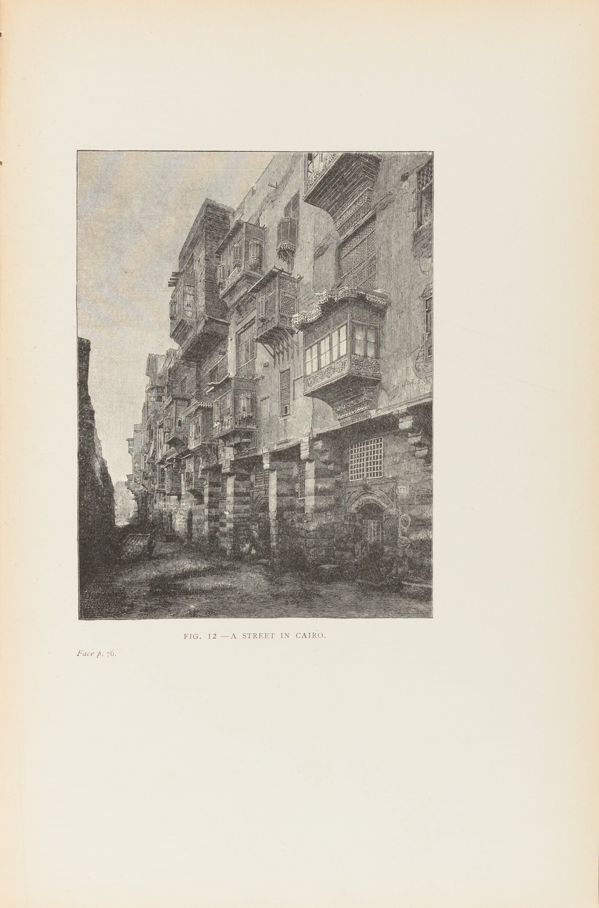 The art of the Saracens in Egypt