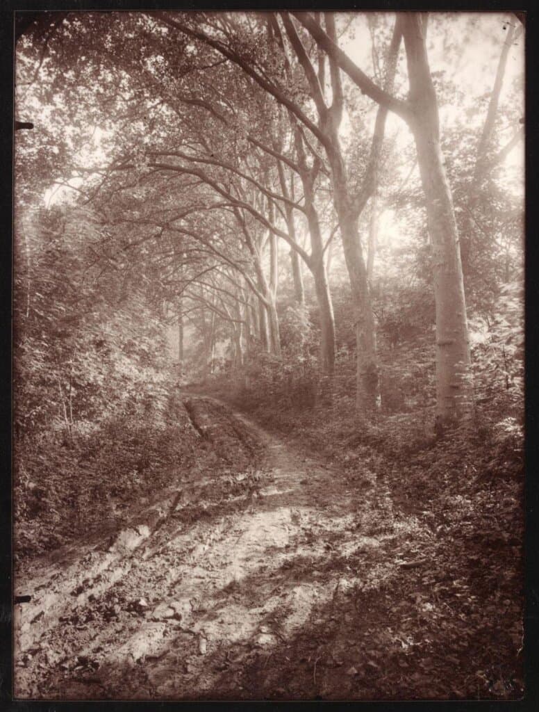 Parc de Sceaux, juin 7h. matin (1925)