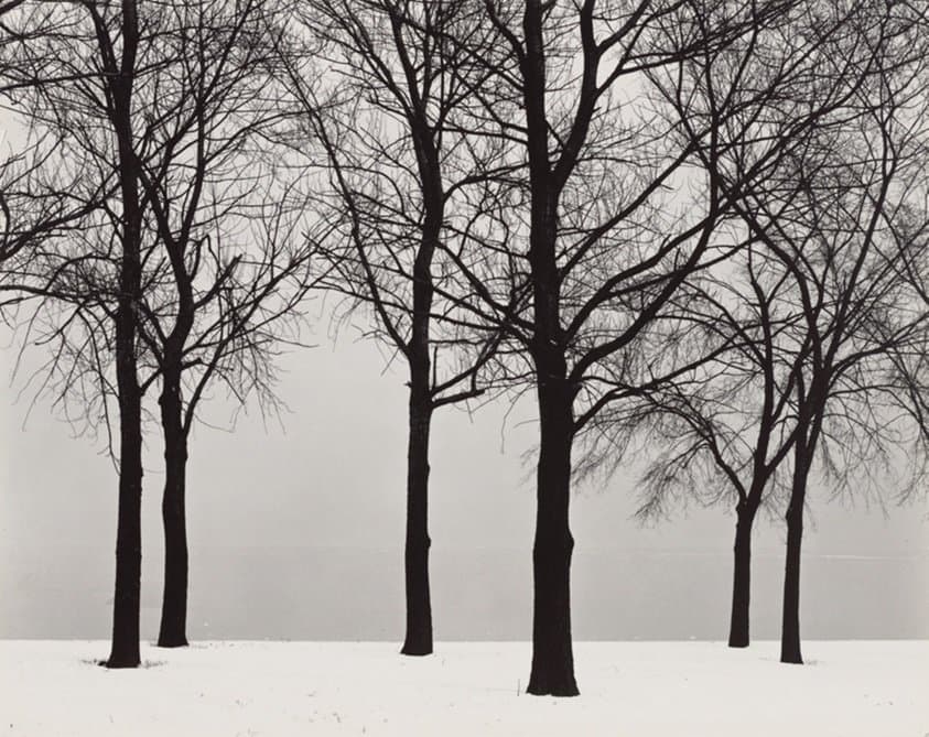 Chicago (1950)