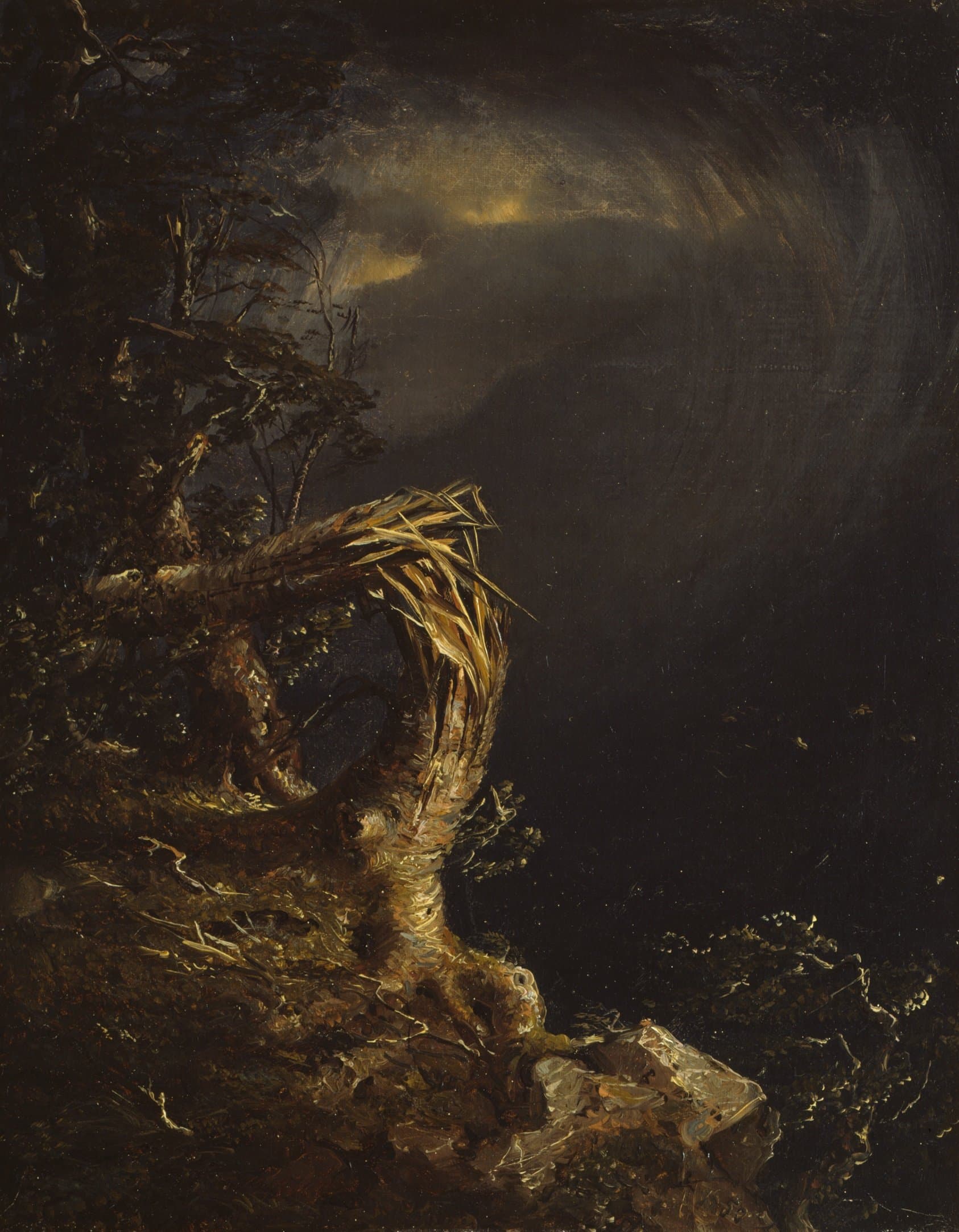 Blasted Tree (1850)