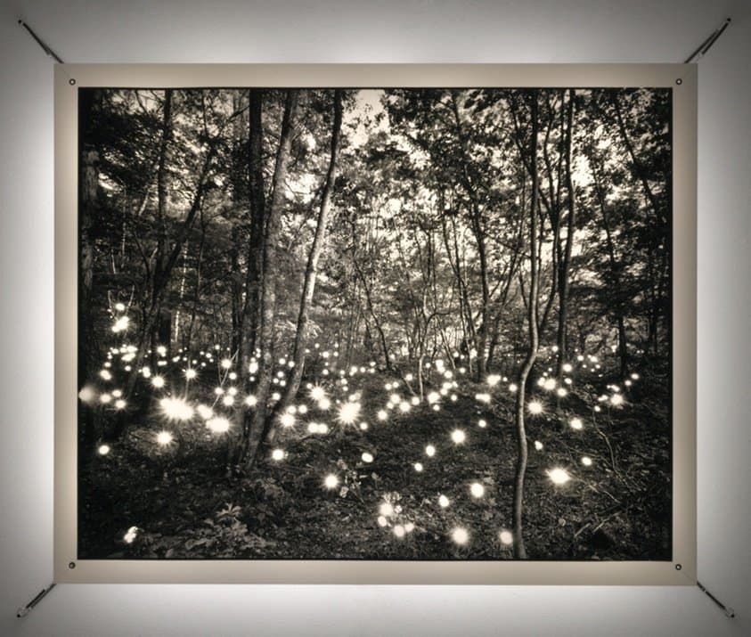 #352 Kashimagawa (1998)