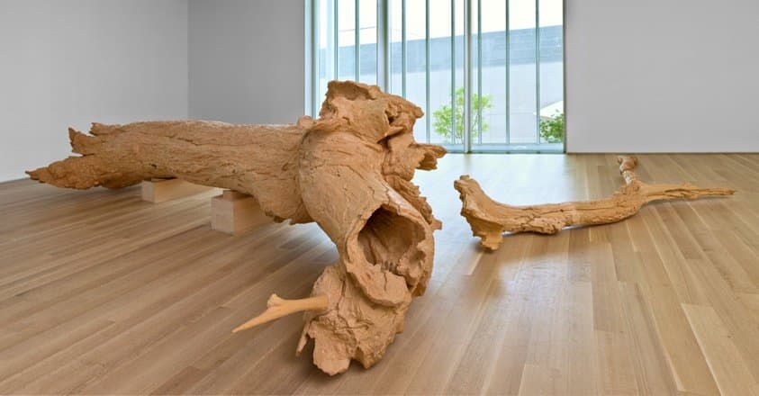 Hinoki (2007)