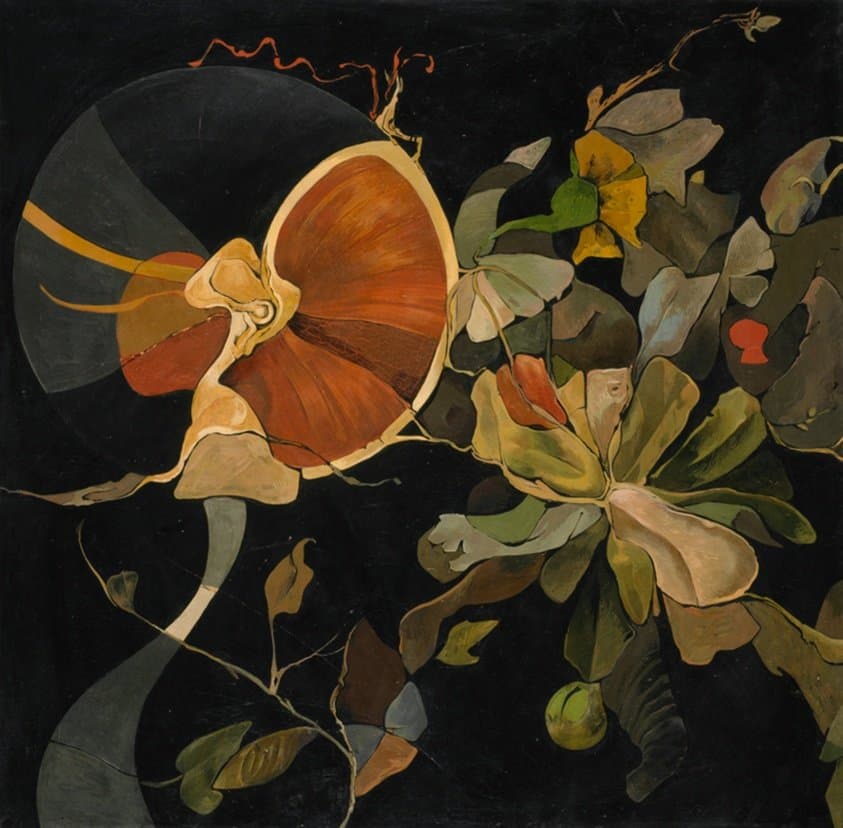 Exotic garden (c. 1954)