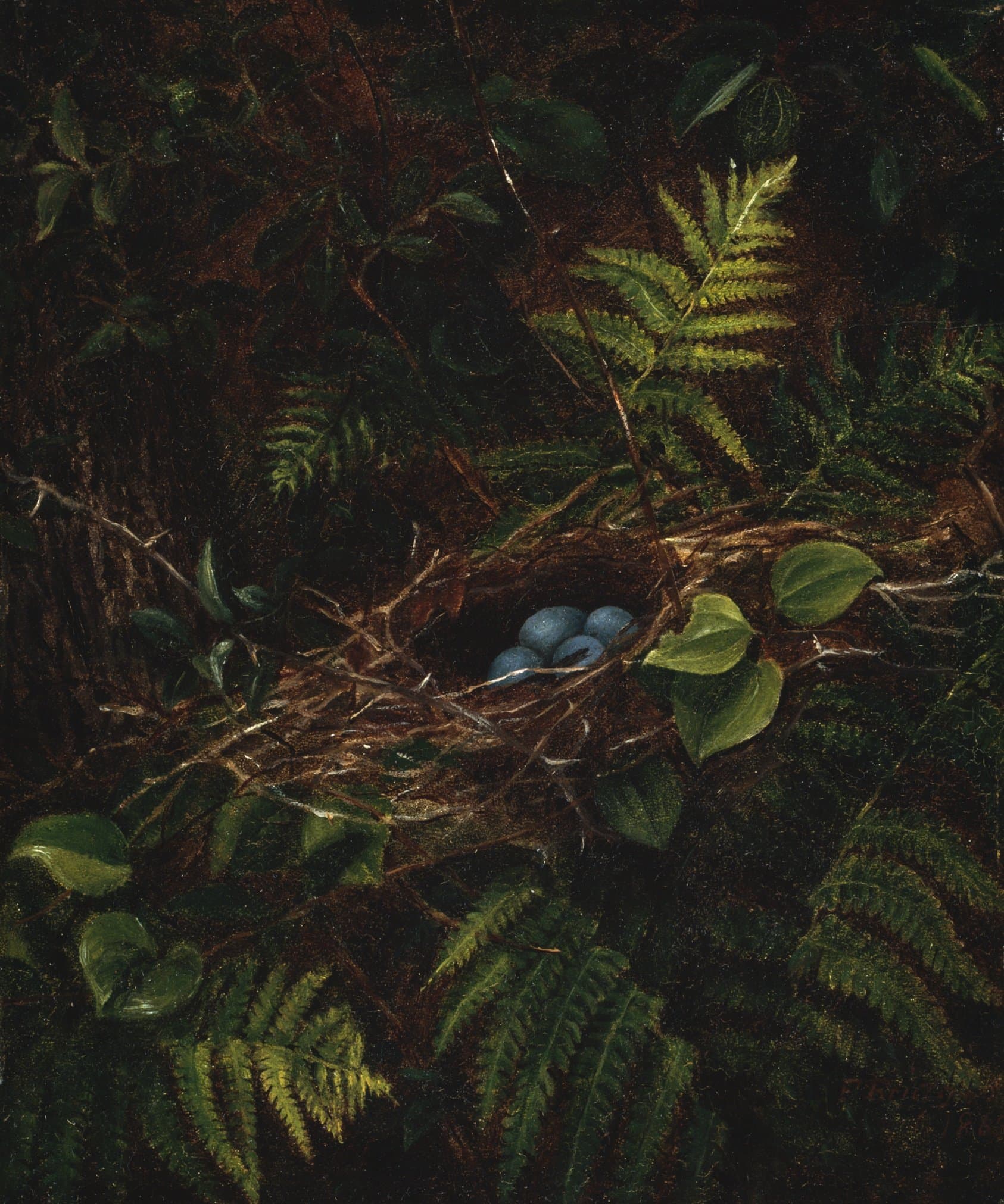Bird's Nest and Ferns (1863)