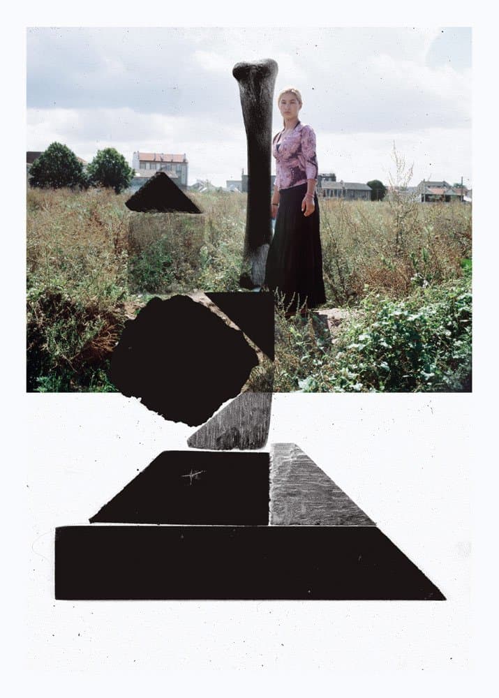 Mathias Schweizer, L'ailante ou la construction d'une ruine (19??)