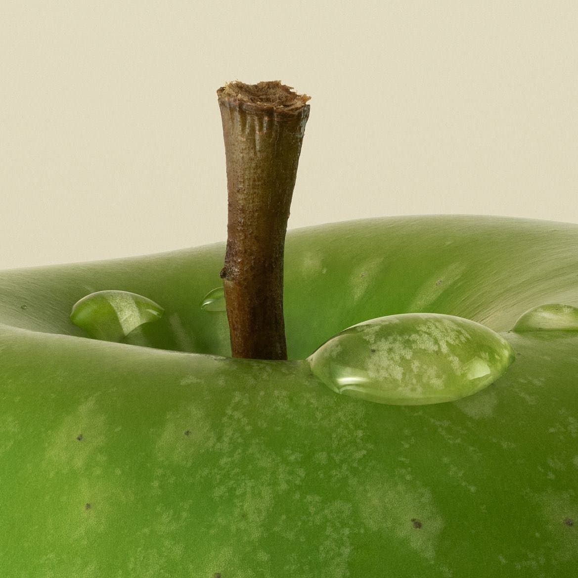 279957290_326080839639178_7300195471272730296_n.jpg?stp=dst-jpg_e35-_nc_ht=scontent-cdt1-1.cdninstagram.com-_nc_cat=110-_nc_...