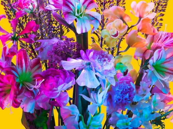 torkil-gudnason2.jpg?w=600-h=449