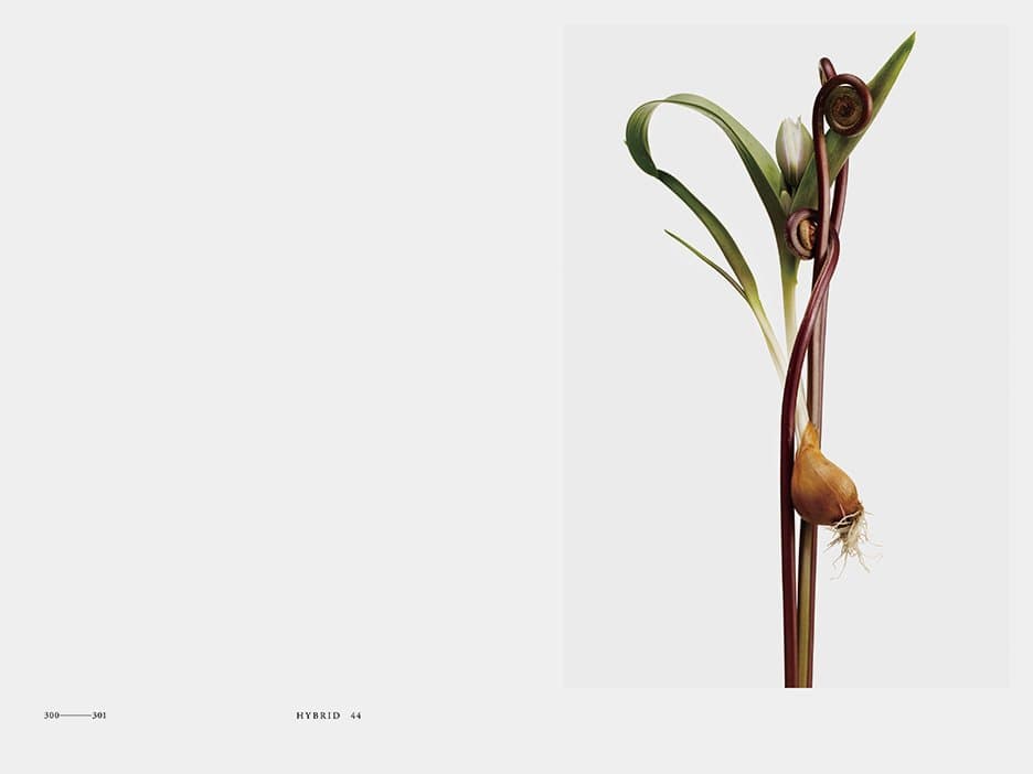 ENCYCLOPEDIA OF FLOWERS Kenya Hara