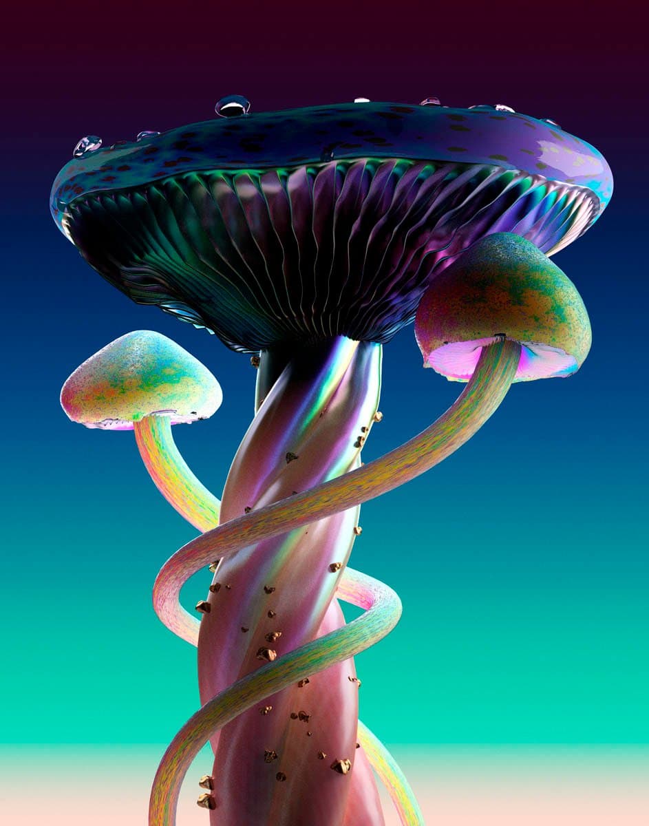 40001_1.jpg