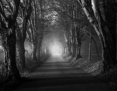 The Endless DawnThomas de Franzoni