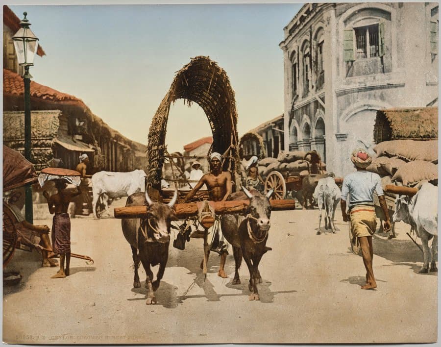 India. Ceylon. Colombo. Street Scene, after photo by Dr. Kurt Boeck (c. 1890–1910)