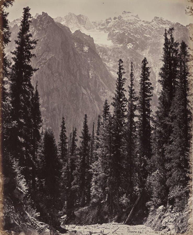 The Upper Himmalayahs. View in the Manga Valley (1863–70)