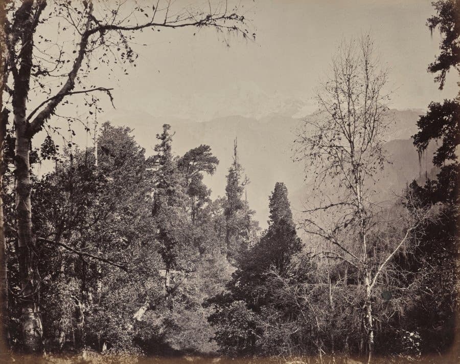 The Upper Himmalayahs. View of the Mountain of Bunderpoonch with the Jumnootri Peak, 20,458 above the Level of the Sea (1863–70)