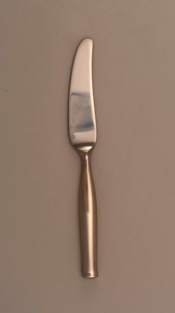 Elsinore Pattern Dinner Knife (1980)