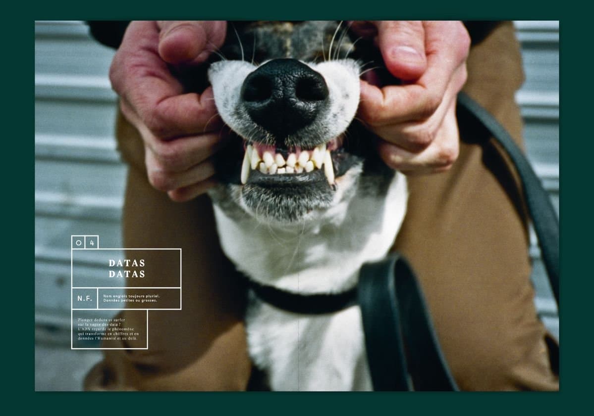 L'ADN n°10 - Violaine & Jeremy