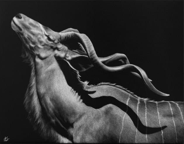 Pin on blanco y negro