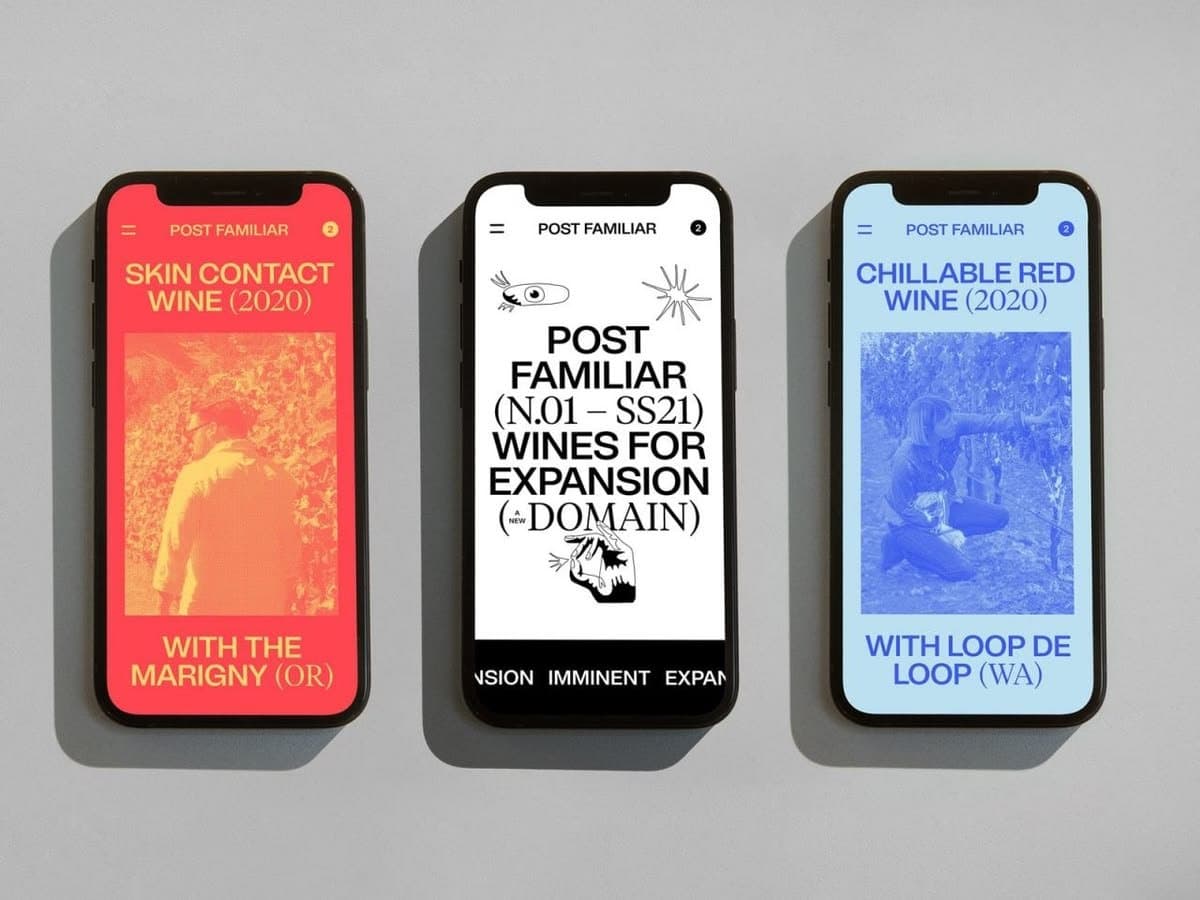 Pin on senior campaign 🐦‍⬛