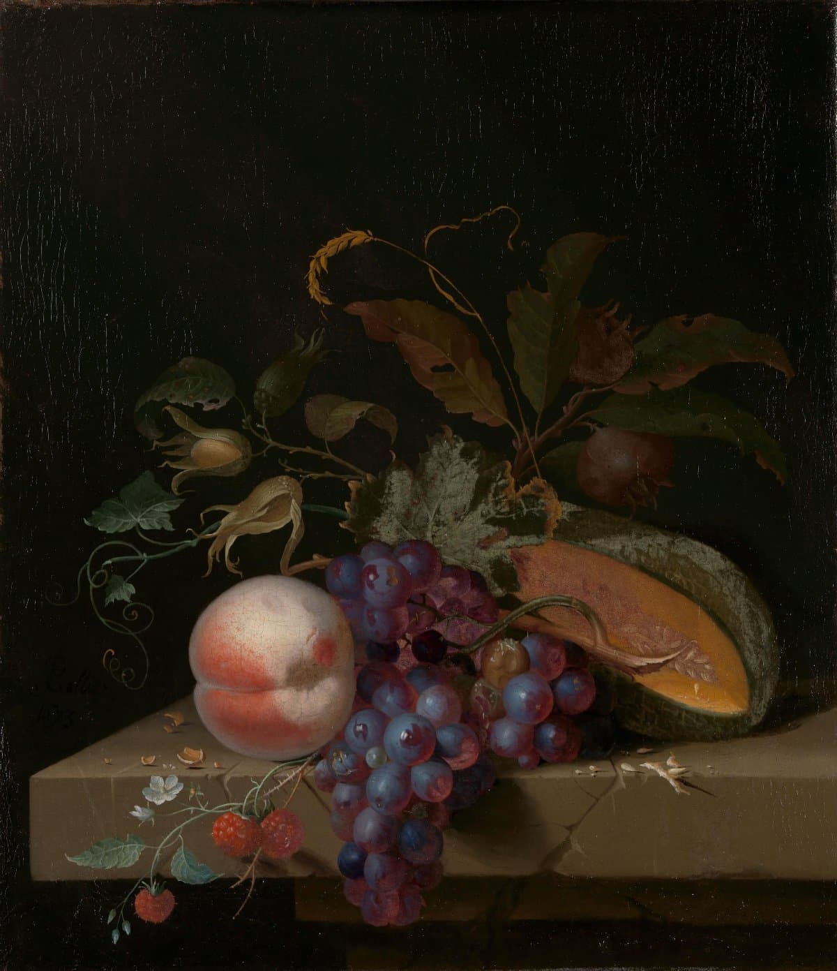Still Life with Fruit