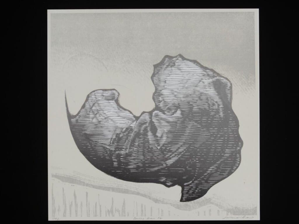 Dancing Dress 12 (2011)